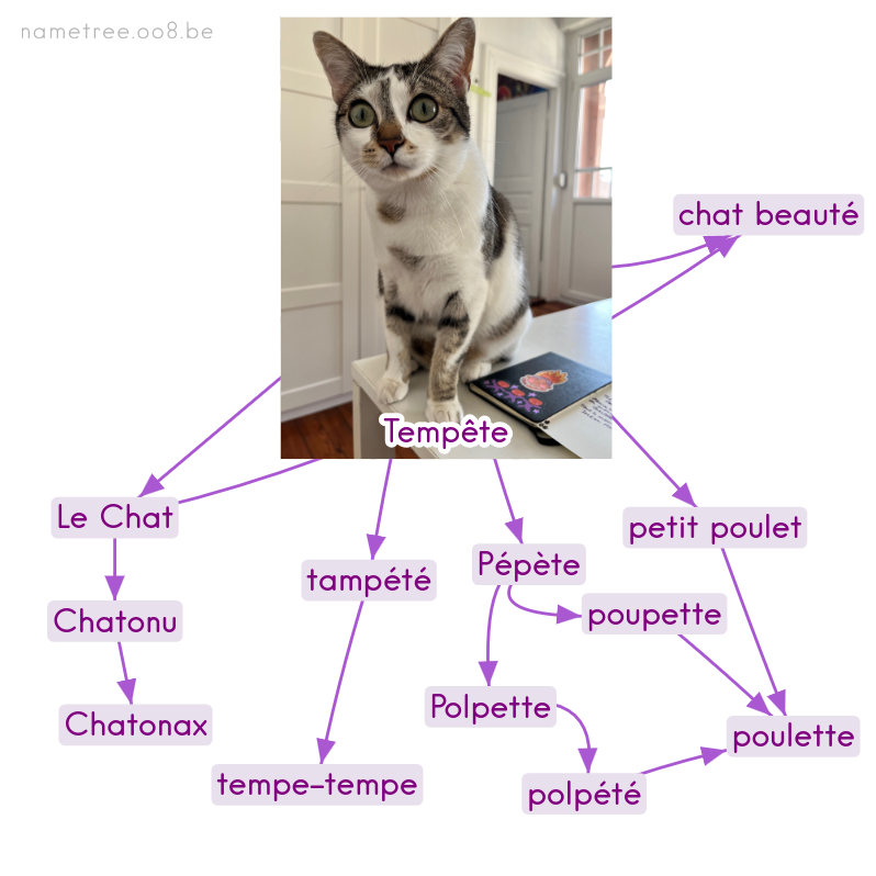 Tree Image